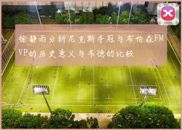 徐静雨分析尼克斯夺冠与布伦森FMVP的历史意义与韦德的比较
